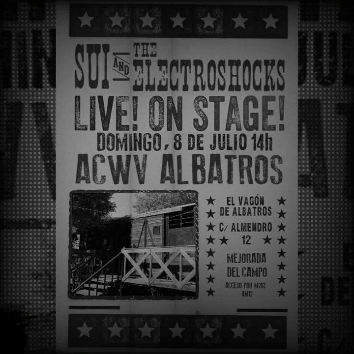 Sui & The Electroshocks - I Fall To Pieces (2018)