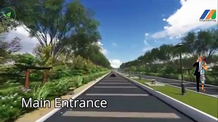 Brief Structure of Afzal Agro Farms (Pvt) Ltd.