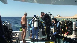 Diving with the Redsea Divers Part 1