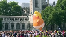 'Trump Baby' balloon takes flight at protest in London