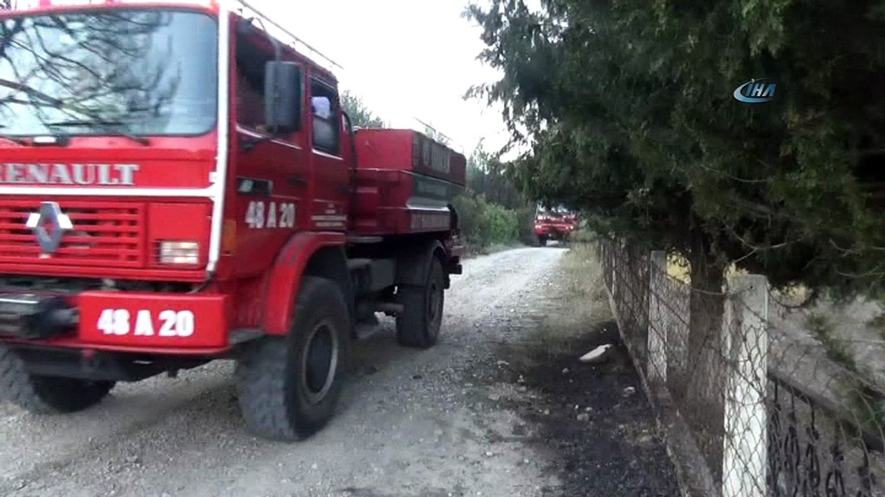İzmir'deki yangından geriye kalan görüntüler yürek burktu