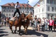 Urbacavale: quand les chevaux arrivent en ville