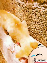 Cat munching on something!