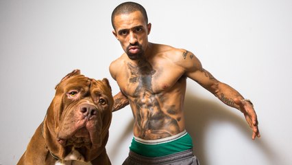 Hulk Ink - The World’s Biggest Pitbull Tattoo | DOG DYNASTY