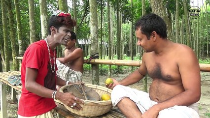 আমের যে দাম দুধে হাত দেওয়াই যাই না - Modern Vadaima - aamer j Dam Dudhe hath Deuai jai na