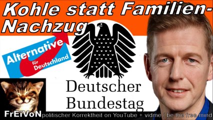 AfD im BT * KOHLE statt FAMILIENNACHZUG - GRÜNE DEINDUSTRIALISIERUNG