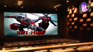 Ant-Man and the Wasp 2018 Full Story Explained in Hindi