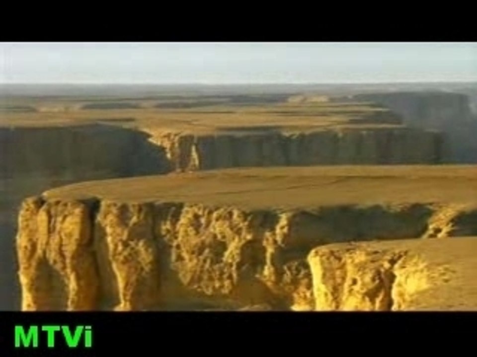::. MTVi faire de Daily le plus bel endroit du net .::