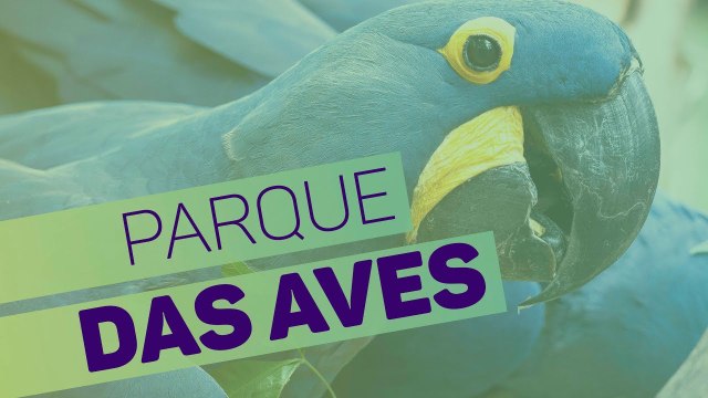 Proteção aos animais no Parque das Aves