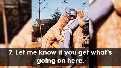 Weird Sights That Are Burned Into Our Retinas Forever