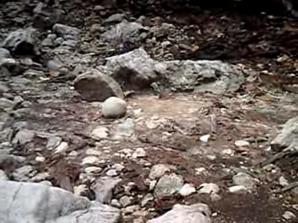 CLIP0001