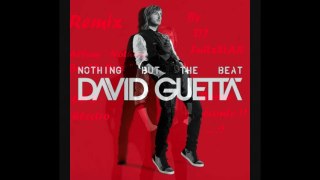 David Guetta - Mix Album Nothing But The Beat CD2 Electro ( By DJ FuRxStAR )