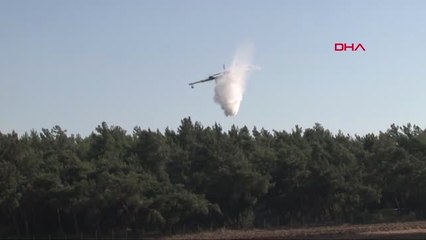 İzmir Buca'da Orman Yangını