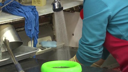 '속도 조절' 정부 기류 반영돼...노사 모두 '불만족' / YTN