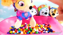 Paw patrol jumping on the bed with gumballs