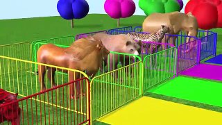 Learn Colors - Wrong Baby Matching w Farm And Wild Animals #Z Animation Video Compilation for Kids.