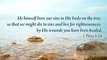 Healing Scriptures ~ Praying Background ~ Soaking