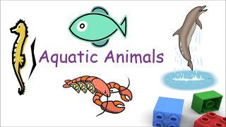Aquatic animals for preschool kids, Water animals for kindergarten children