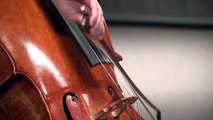 La música clásica nos gusta y ¡no lo sabemos! | Ana Laura Iglesias | TEDxGijon