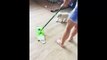 Best Of Cute Golden Retriever Puppies Compilation #18 - Funny Dogs 2018_13-06-2018_4