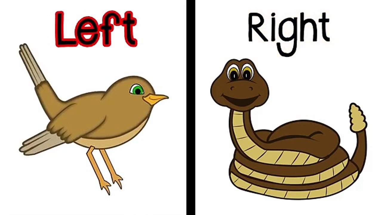 LEFT AND RIGHT SONG for Children Right and Left Song for Kids Learn Left and Right by 123ABCtv