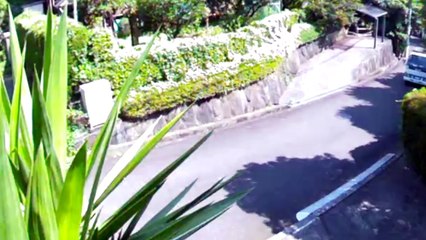 EDR July #13 2018 Boar, Ocean and Suspicious Cars
