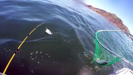 Fishing for Salmon SOLO in Pacific Ocean BRIGHT PINK MEAT