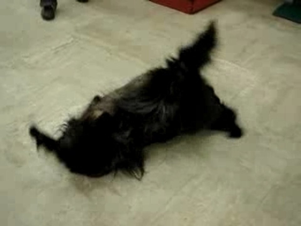 Spike MOV00646