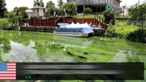 Florida terancam ‘racun alga’ - TomoNews