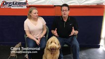 Owner Testimonial | Goldendoodle | Off Leash K9 Training, Georgia