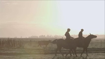 هذا الصباح- حياة رعاة الأبقار في التراث الأرجنتيني