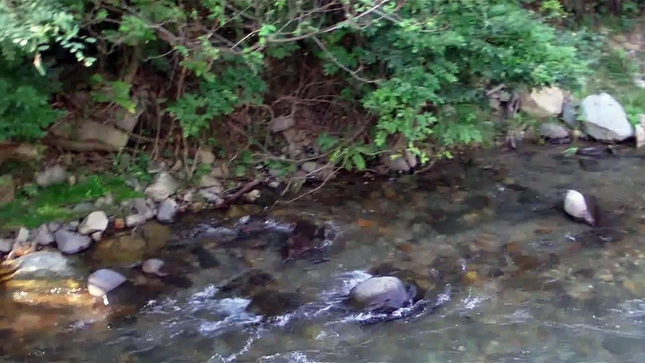 A stream in Japan