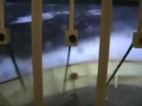 Ouverture de l'aquarium Mare Nostrum à Montpellier