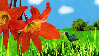 The secret life of the American teenager S03E01 - Do Over