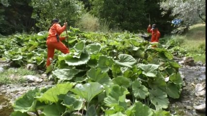JAK Timleri Evrim’i Derede Arıyor