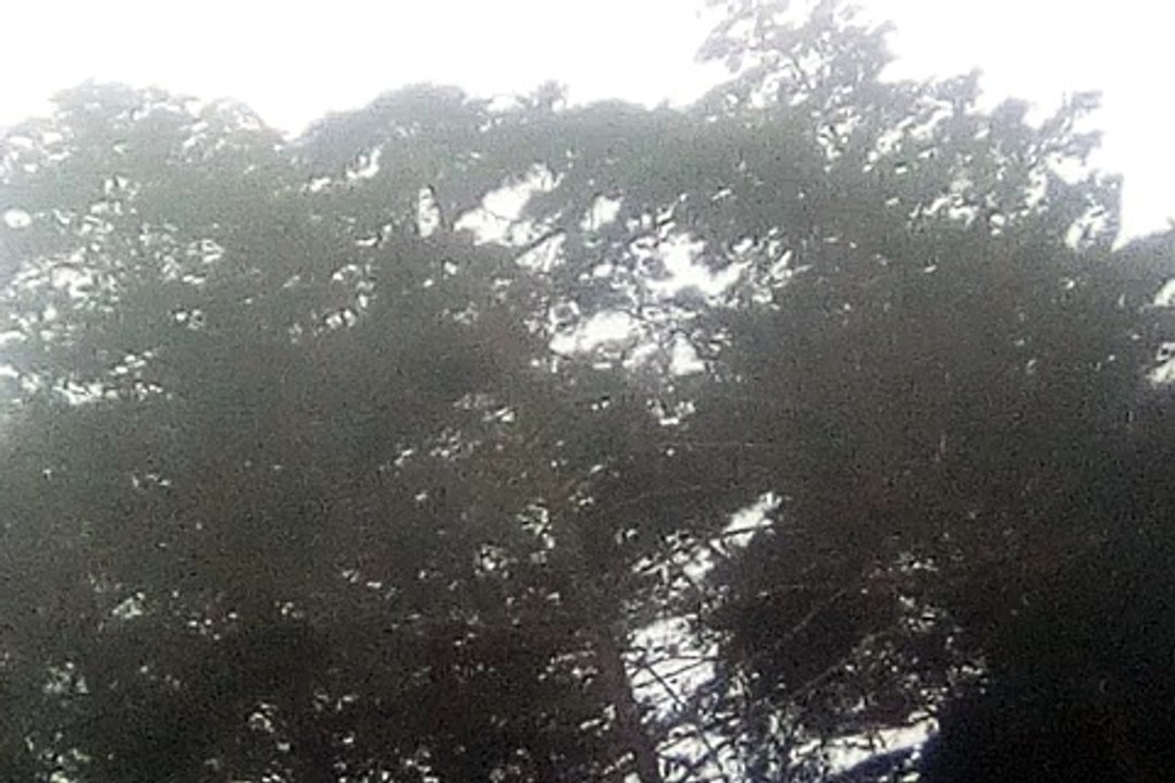 VID_20180707_124456