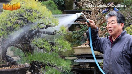 Sự thật sốc về những trùm xã hội đen khét tiếng Việt Nam