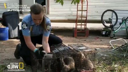 Rocky Mountain Animal Rescue S01E05 Pups In Peril  Part 02