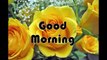 Good morning wishes || Whatsaap Video Message || Morning Wallpapers || Quotes || Ecards || image