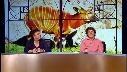 Qi S01E09