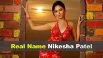 Nikesha Patel Biography | Age | Family | Affairs | Movies | Education | Lifestyle and Profile