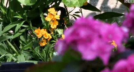 Heir Hunters UK S06 - Ep02 Wright Soberg HD Watch