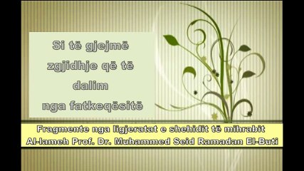 العلامة محمد رمضان سعيد البوطي دواء الفتن