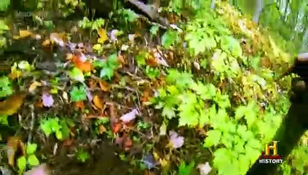 Appalachian Outlaws S02 E07 Crossing the Line