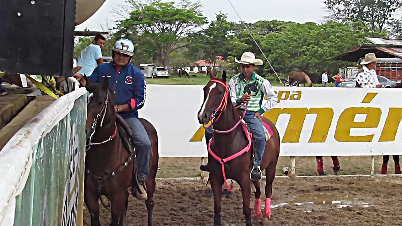 XIV COPA AMERICA DE COLEO