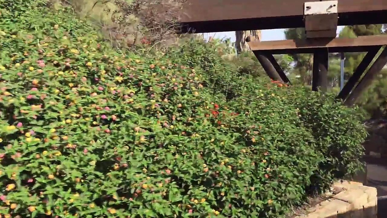 Israel-Cidade de Telaviv e Jaffa ou Jope - Lá Vai Maria lhe mostra a Terra Santa -primeiro vídeo.