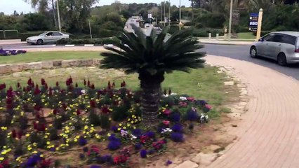 Israel - Megido - Nazaré-Lá Vai Maria na Terra Santa.O Vale Jezreel e a cidade antiga de Salomão.