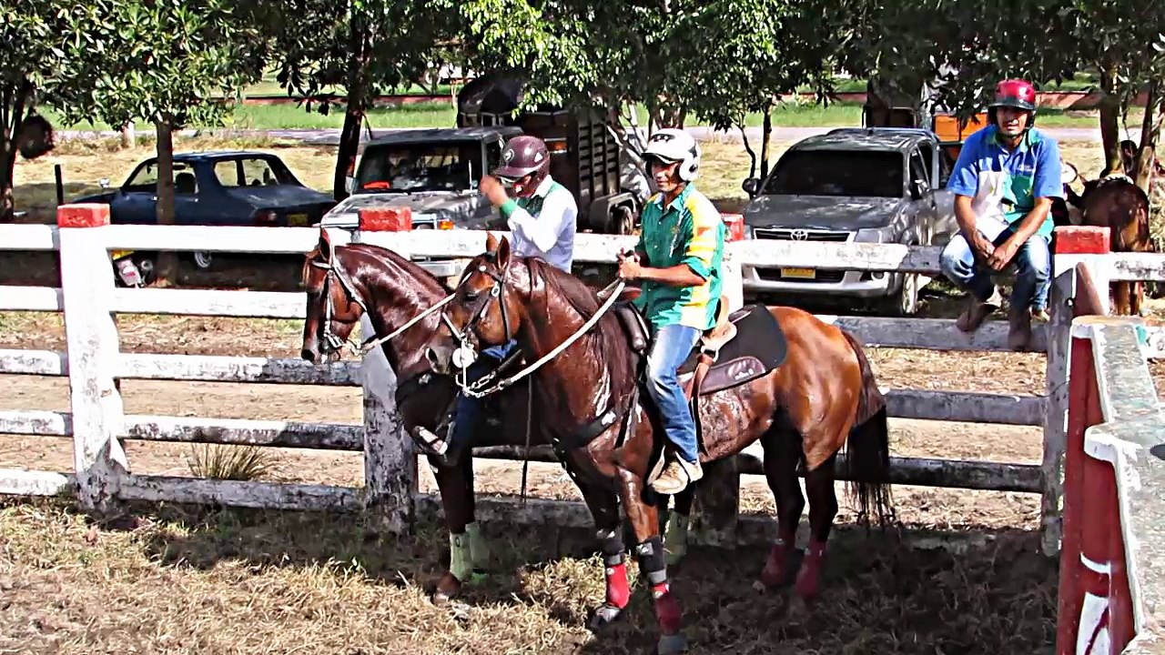 CABALLO CORAZON VALIENTE