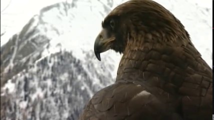 BBC Documentary | Explore The Black Mountain Part 1