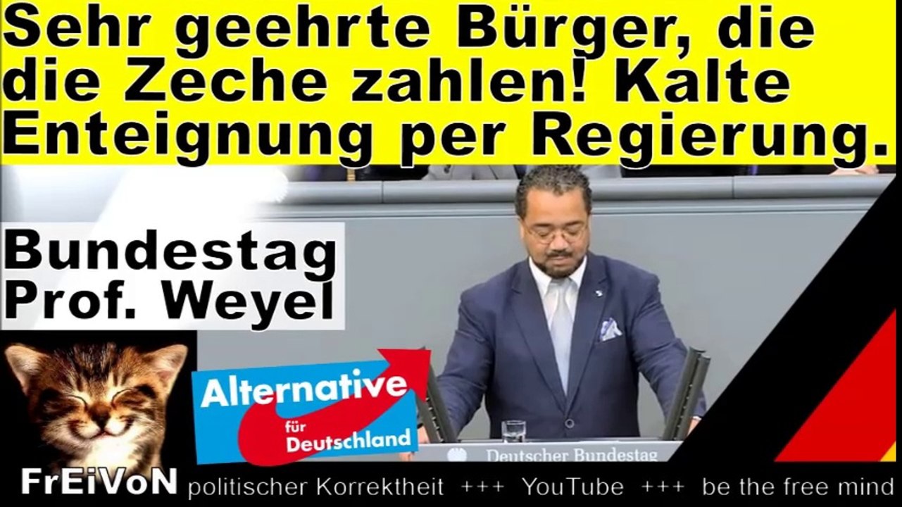 Sehr geehrte Bürger, die die Zeche zahlen müssen! Kalte Enteignung. Weyel (AfD) BT